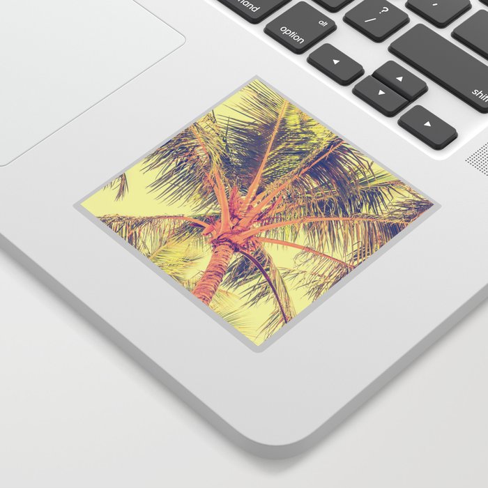 Palm tree, light sky Sticker