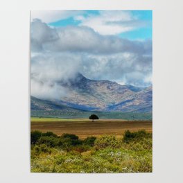 South Africa Photography - A Small Tree Surrounded By Big Landscape  Poster