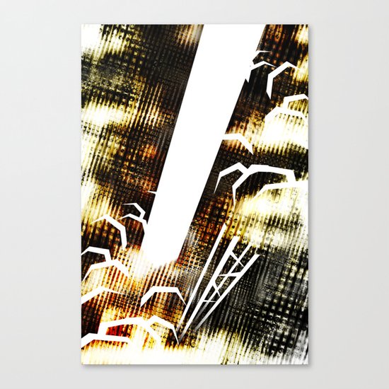SpaceX Celebration Canvas Print