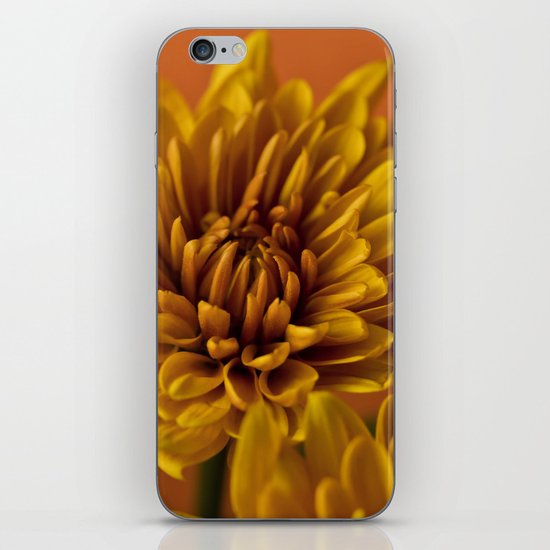 Orange Soda iPhone & iPod Skin