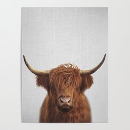 Highland Cow - Colorful Poster
