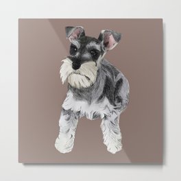 Miniature Schnauzer // dog illustration Metal Print