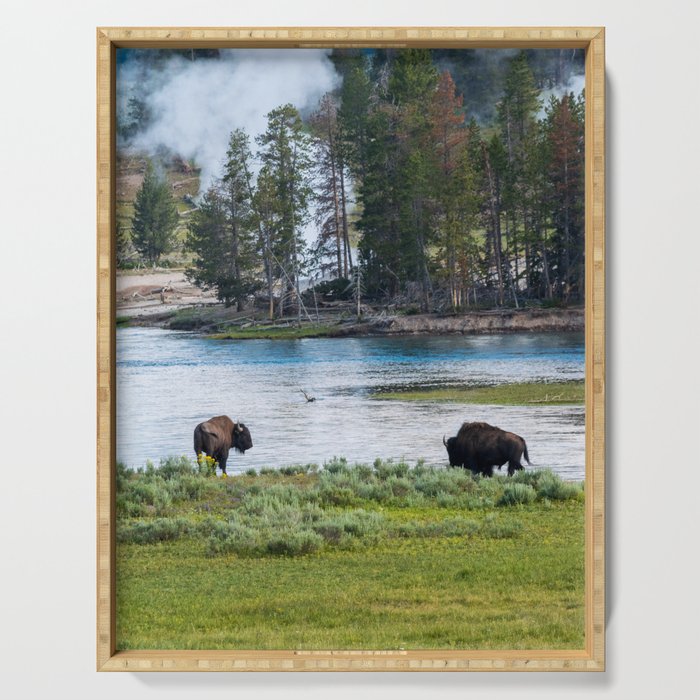 Yellowstone National Park Wyoming Buffalo Landscape Photography Serving Tray