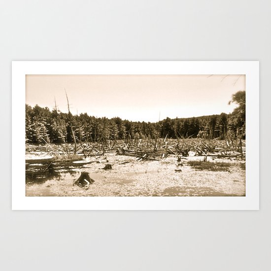 Horizontal Image Art Print