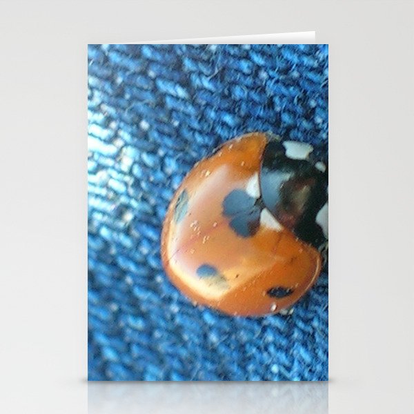 ladybird  Stationery Cards