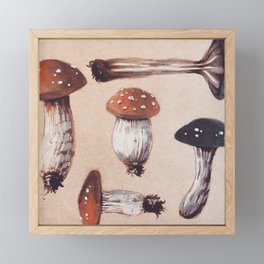 Woodland Mushrooms Framed Mini Art Print
