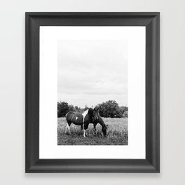 I Trust You Black and White Horses Framed Art Print