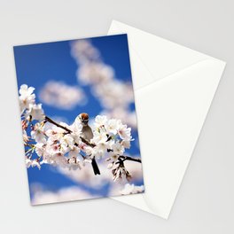Chipping Sparrow in the Cherry Tree Stationery Cards