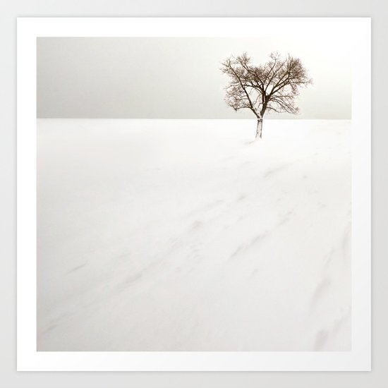 frozen lake. Art Print