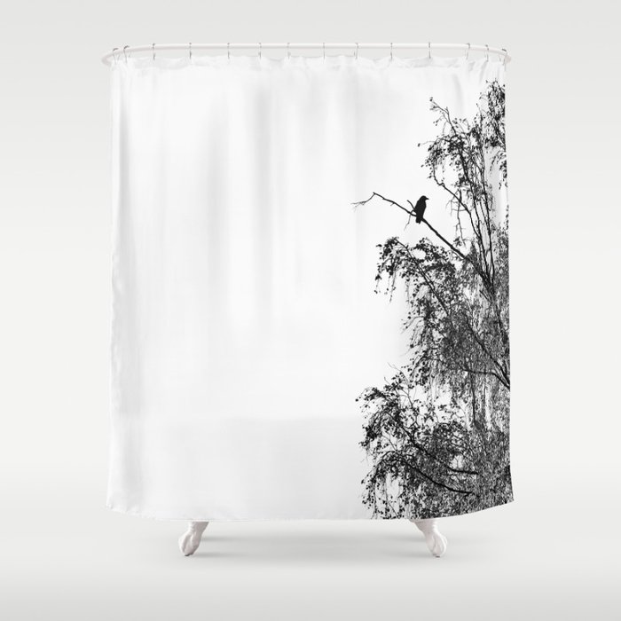 Crow On Birch Shower Curtain By Stefaro, Birch Shower Curtain