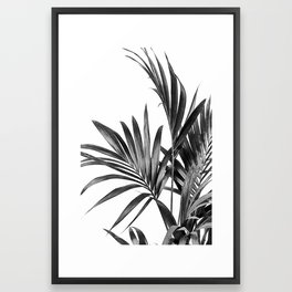 Palm Leaves Black and White 01