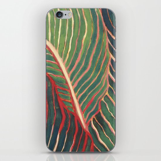 Canna Leaves iPhone & iPod Skin