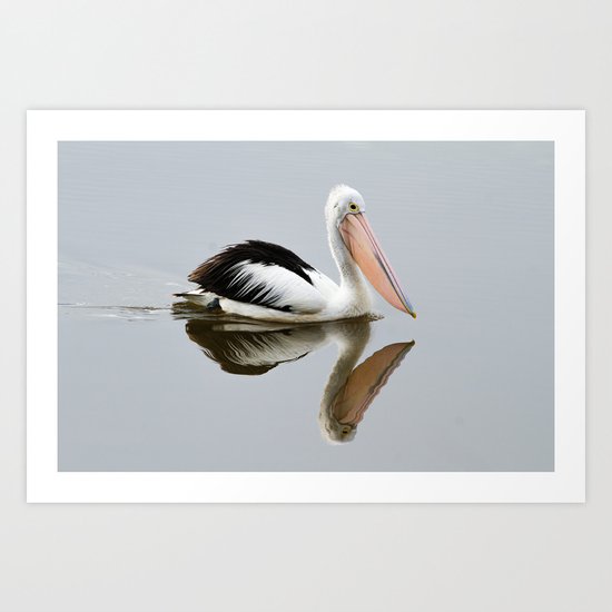 A Pelican Reflecting Art Print