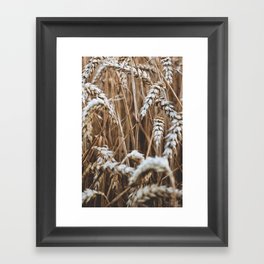 Wheat - Landscape Wall Art - Neutral Art | Set 2/2 Framed Art Print