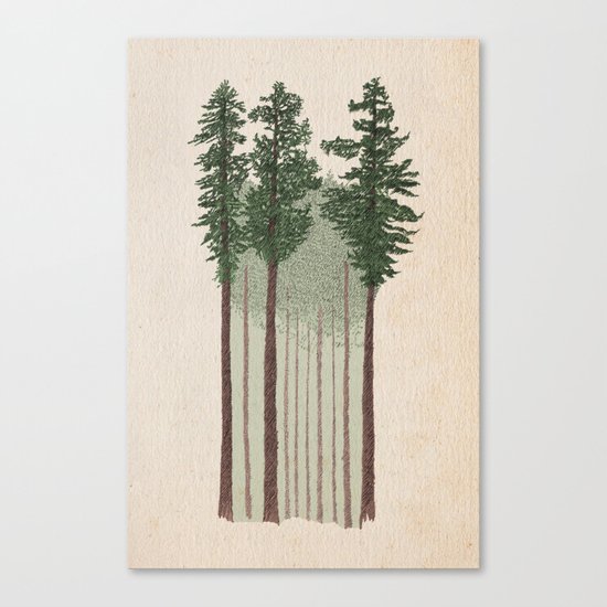 Tall Trees Canvas Print