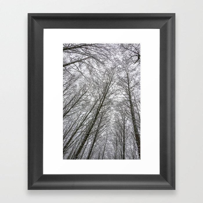 Snow Mountain Winter Forest VI - Nature Photography Framed Art Print