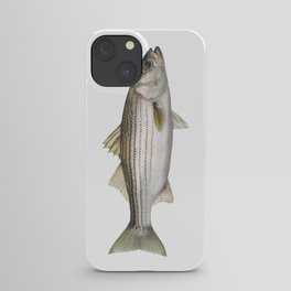 Striped Bass iPhone Case
