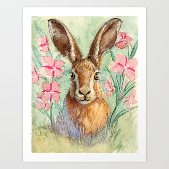 Bunny and Fireweed A089 Art Print