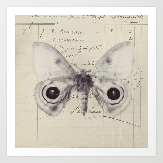 a butterfly Art Print