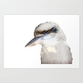 Laughing Kookaburra - Dacelo novaeguineae Art Print