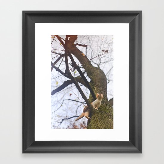 Little orange cat on a big tree Framed Art Print