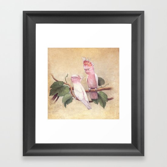 Pink Cockatoos Framed Art Print
