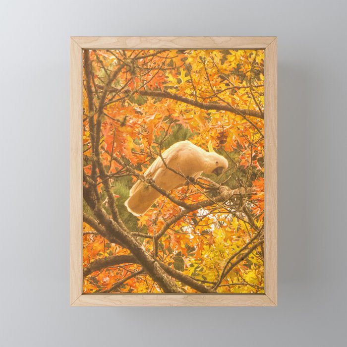 Autumn Melody Framed Mini Art Print