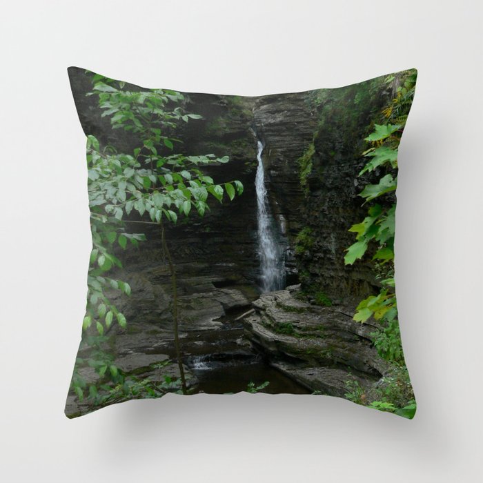 Watkins Glen-1 Throw Pillow