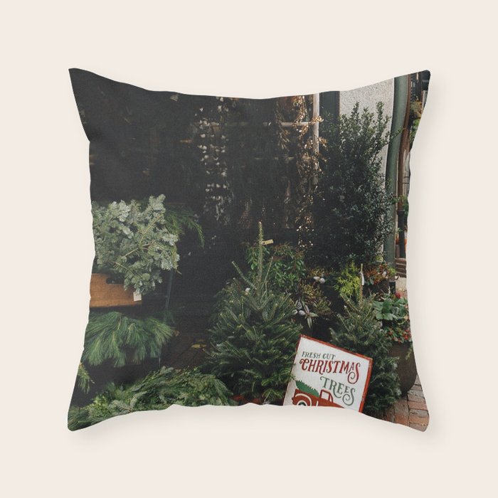 Throw Pillow