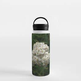 Wildflower Water Bottle