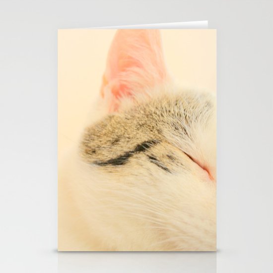 Peachy Kitty Stationery Cards