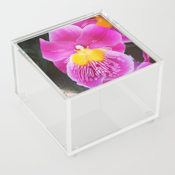 Pansy Orchid Acrylic Box