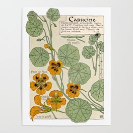 Maurice Verneuil - Capucine - botanical poster Poster