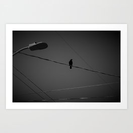 Crow on a Wire Art Print