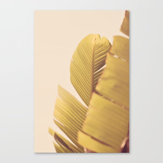 Palm Leaves Canvas Print