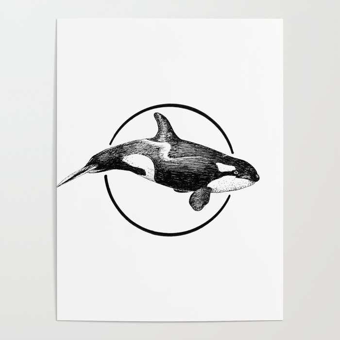 Black and white Dolphin pencil drawing Poster for Sale by Pencil-Art