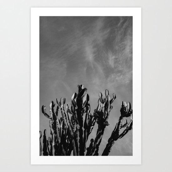 Monochrome Cactus Sky Art Print
