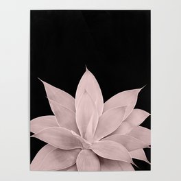Blush Agave on Black #1 #tropical #decor #art #society6 Poster