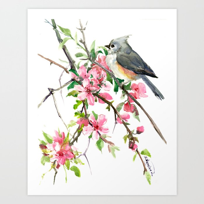 Titmouse And Cherry Blossom Birds And Flowers Design Artwork Art Print By Sureart