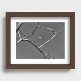 Tree With Moon in Black and White Recessed Framed Print