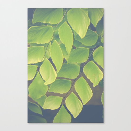 Fern Abstract Canvas Print
