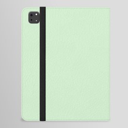 CELADON MIST SOLID COLOR. Plain Pale Green iPad Folio Case
