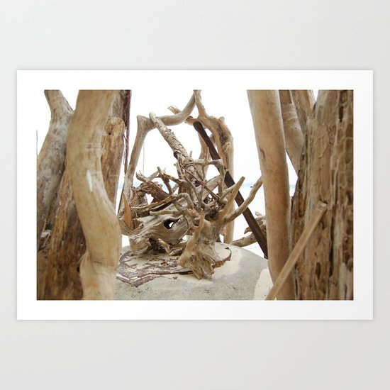 Driftwood Art Print