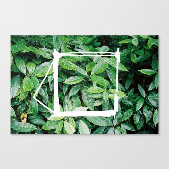 Cathode / Blossom Canvas Print