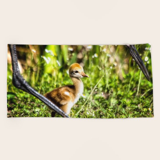 Watchful Eye Beach Towel
