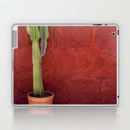 Mexico Photography - Small Cactus In Front Of A Red Brick Wall Laptop Skin