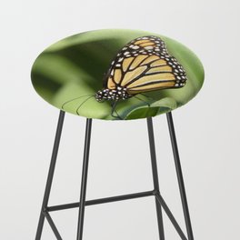 Mexico Photography - Beautiful Butterfly On A Plant Bar Stool
