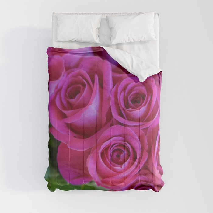 Roses Comforter