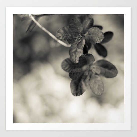 Life in Detail Art Print
