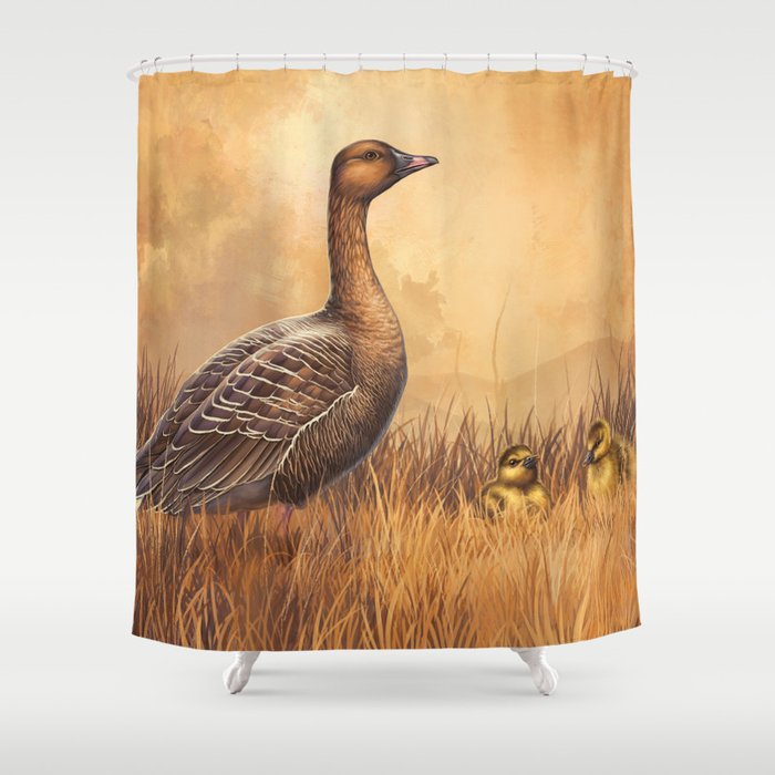 Pink-footed Goose Shower Curtain